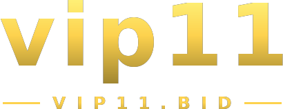 vip11 logo